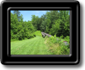 2_LCP_Trail_Jun062009