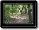 LCPNatureTrail-1