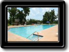 LCP_Pool-small